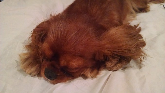 IMG_20150818_014302698